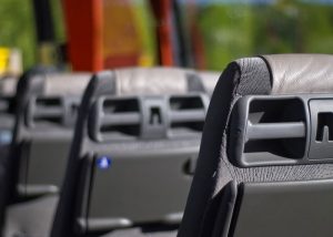 buses