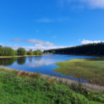 Woodland Walk 2 Image_ (002)
