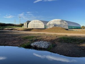 tree nursery 3 (002)