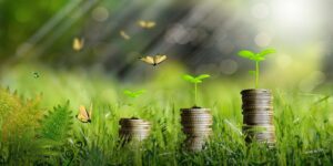 CW Green Economy image (002)