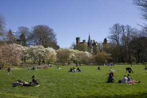 Bute-Park-1