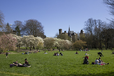 Bute-Park-1