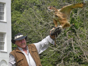 Experienced North Wales falconer looking forward to GWCT Welsh Game Fair