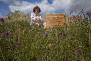 08-08-22 Platts Green-1