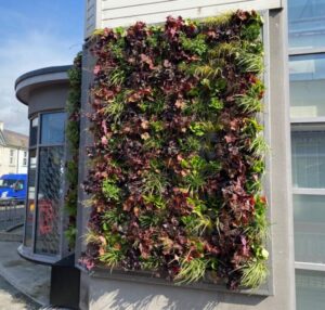 DCC RCS Living wall - PR