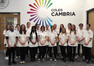 healthcarecadets