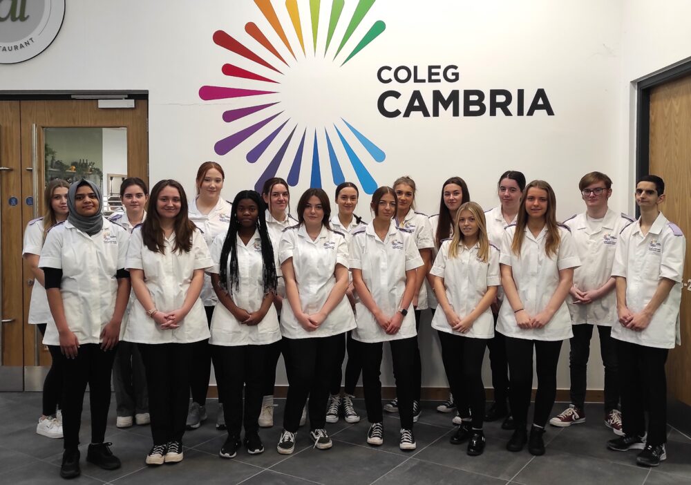 healthcarecadets