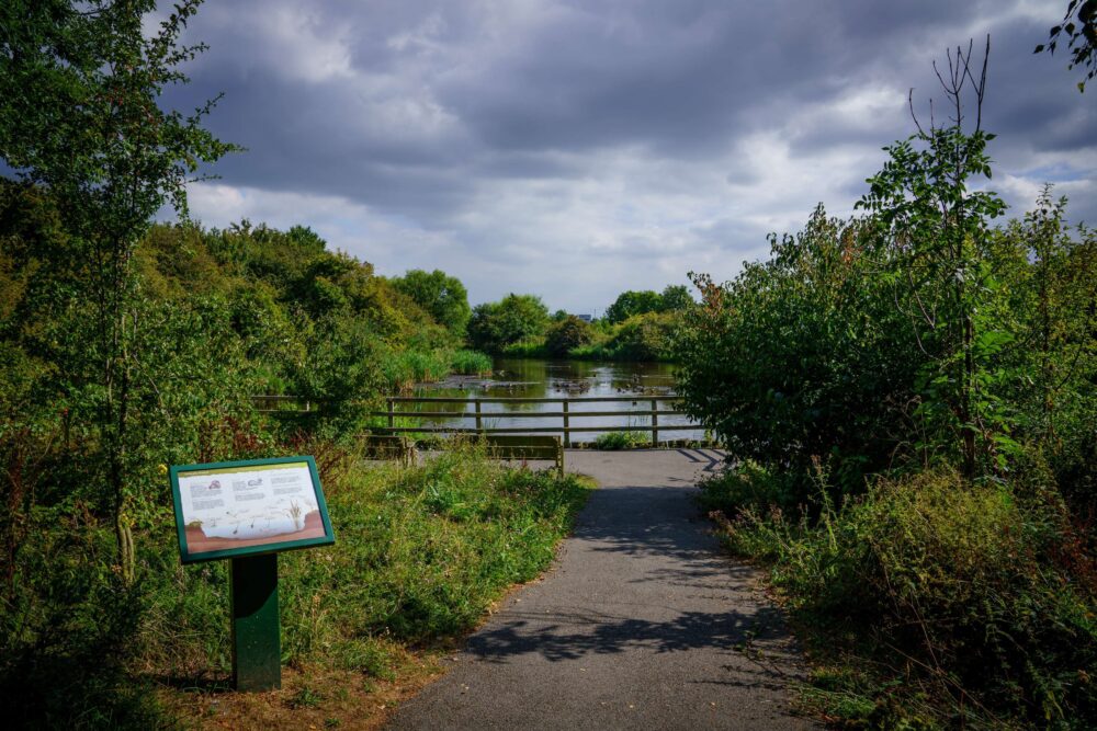 Rhuddlan Nature Reserve44