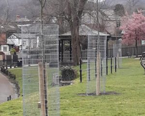 New look for Llangollen Riverside Park