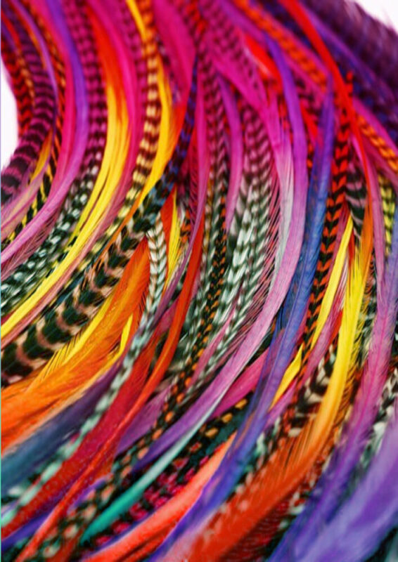 Hair Feather Extensions