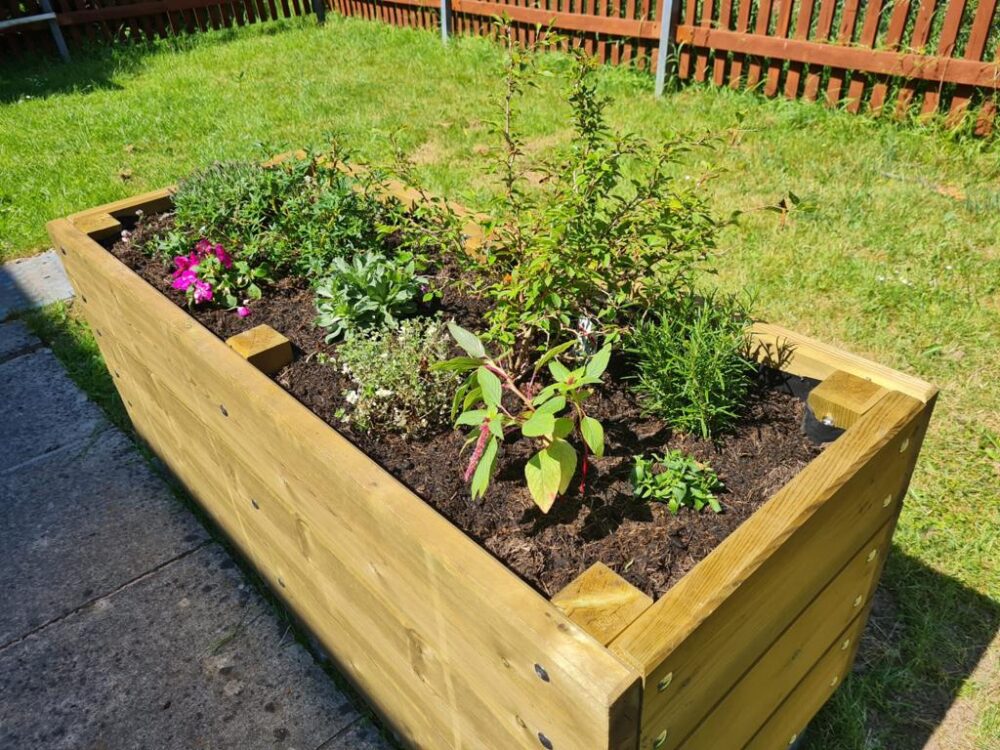 Garden image 2