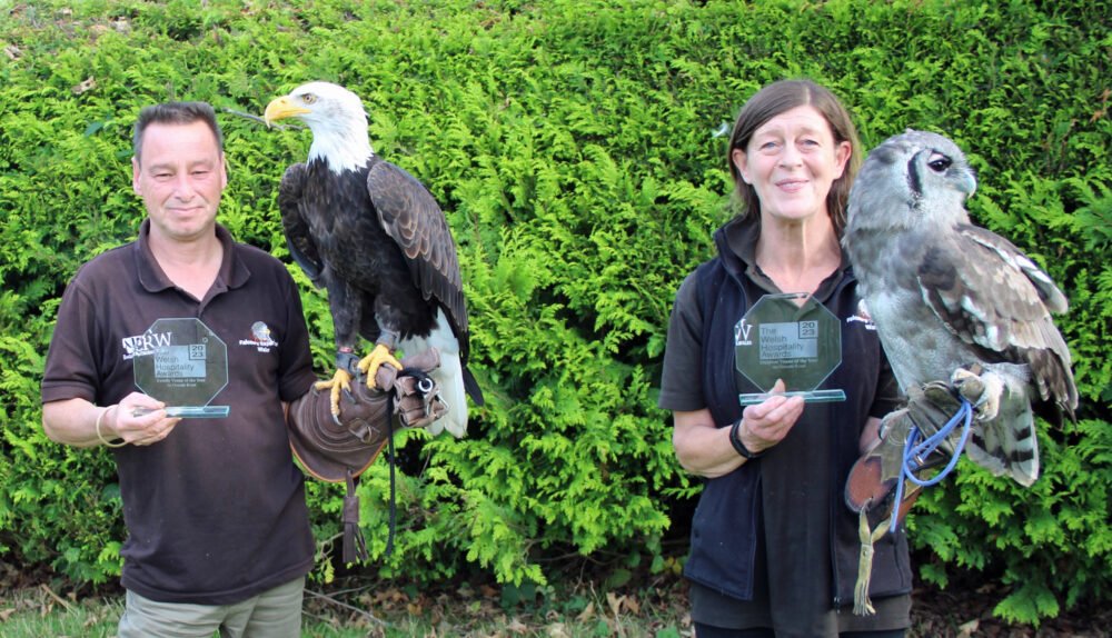 Falconry Ex Wales awards
