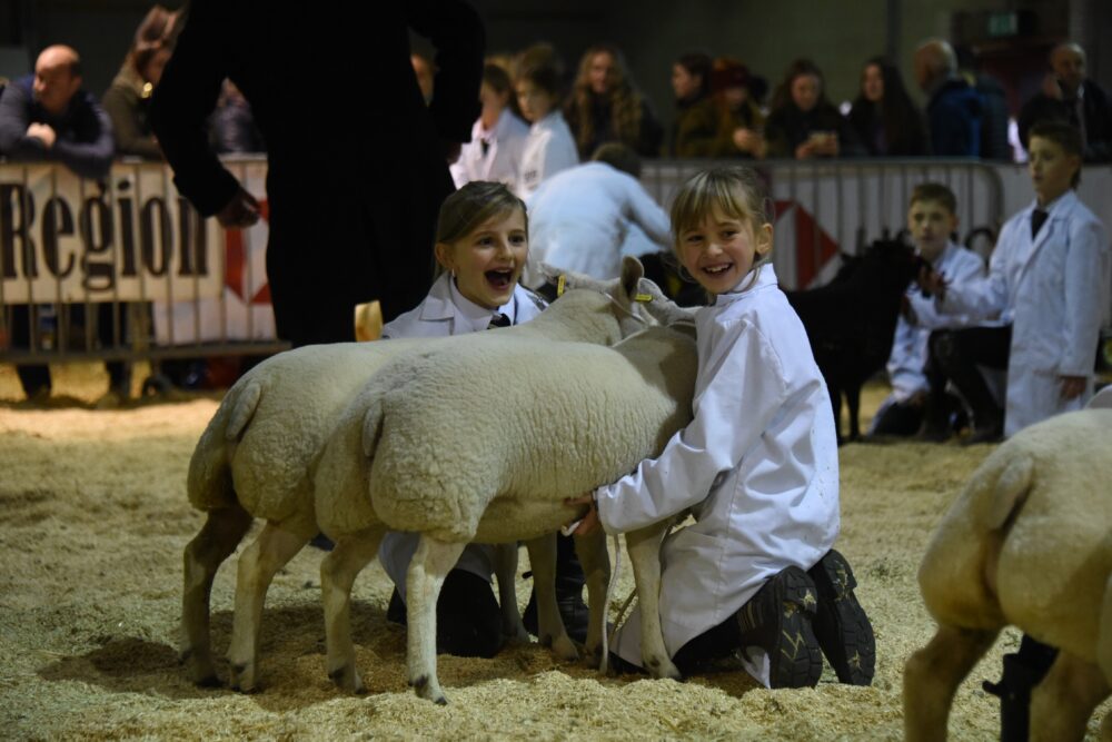 RWAS Winter fair pic