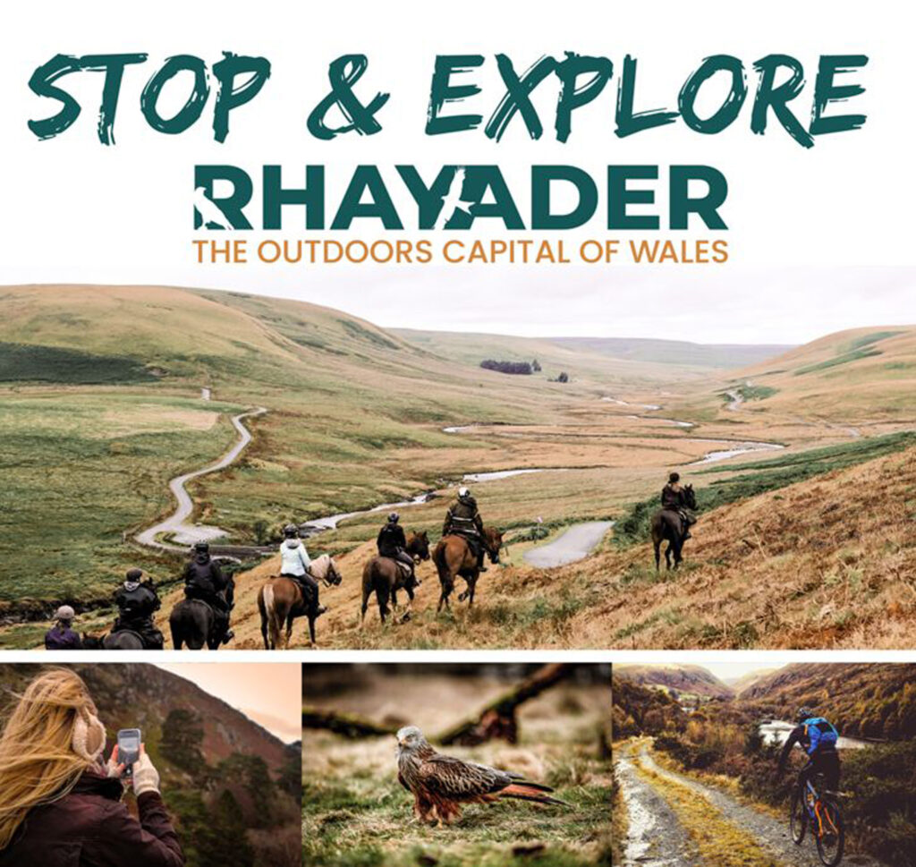 Rhayader branding