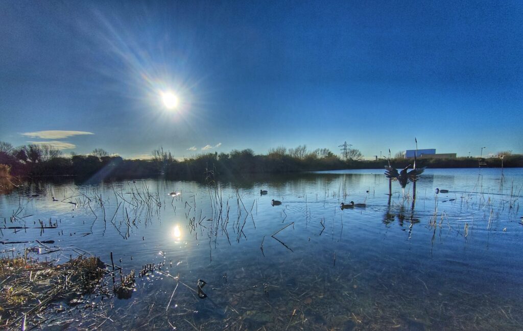 brickfieldpondrhyl