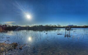 brickfieldpondrhyl