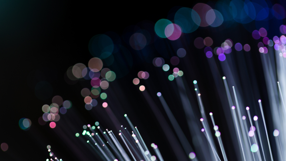 fibre