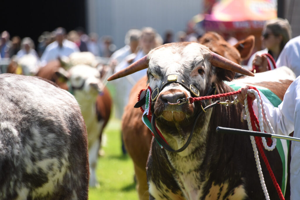 RWAS Smallholders Festival