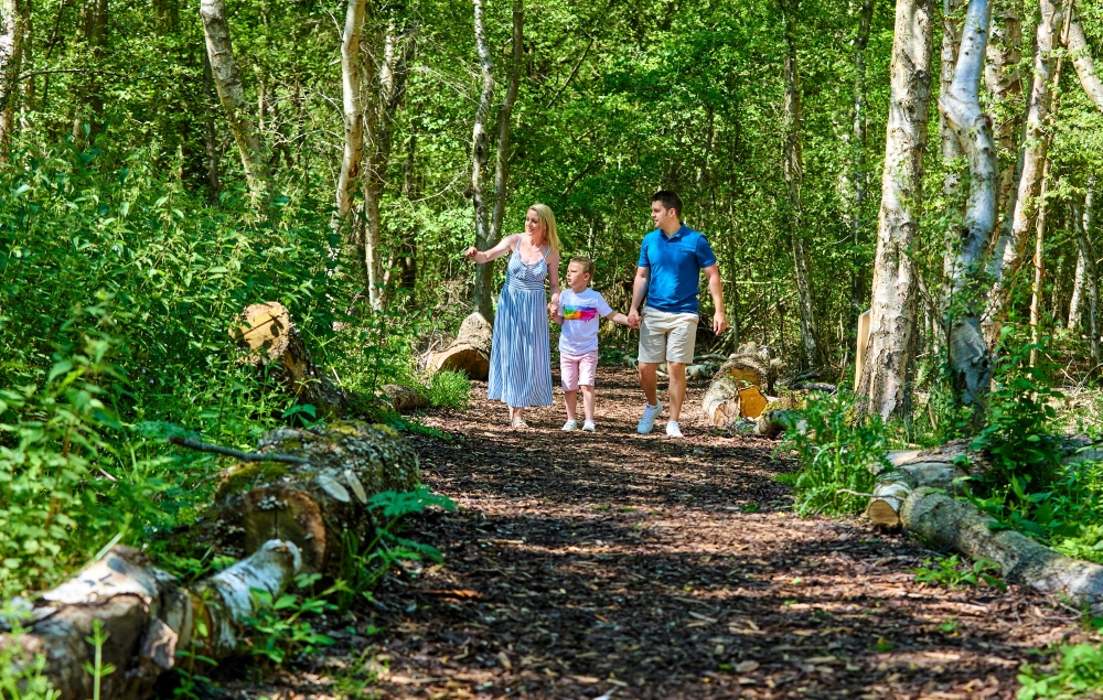 NorfolkWoods2