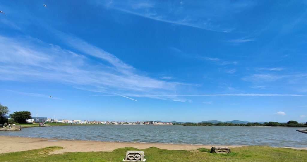 oppo_0