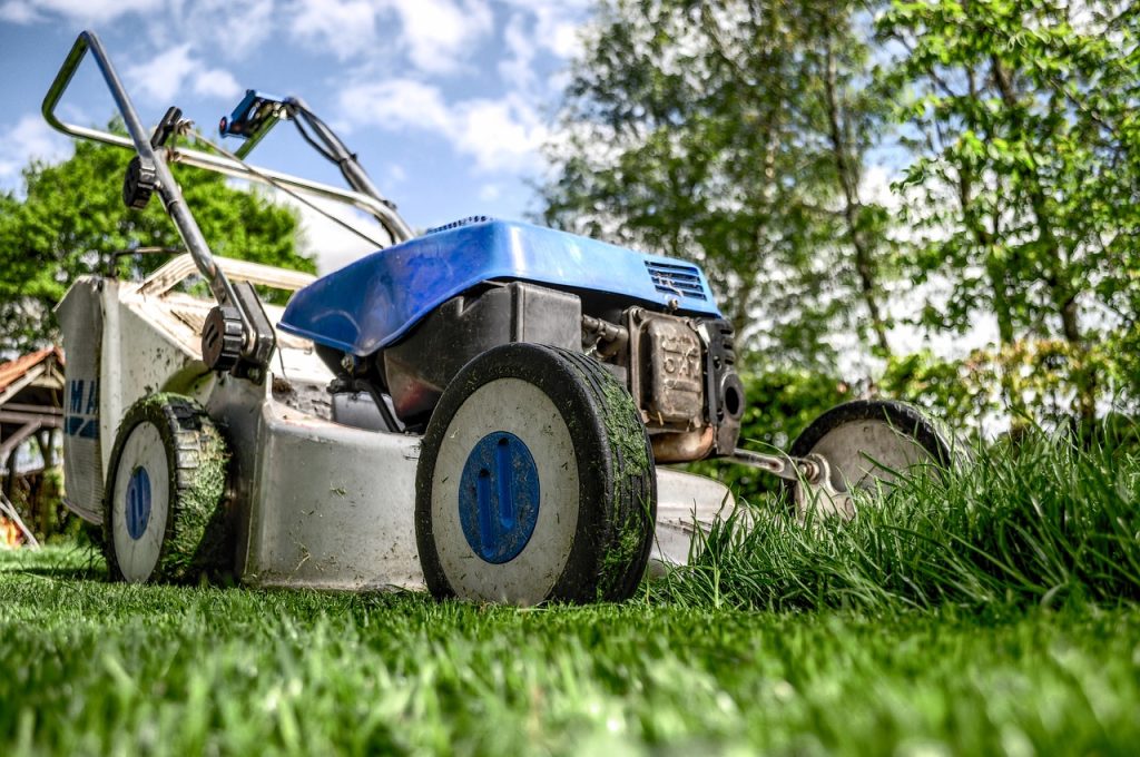 lawn mower, grass, garden, front yard, gardening, lawn-mower chassis, lawn, cutting, gardener, equipment, machine, nature, backyard, mower, maintenance, yard, lawn mower, lawn mower, lawn mower, garden, garden, garden, garden, gardening, gardening, gardening, gardening, gardening, lawn, lawn, lawn, gardener