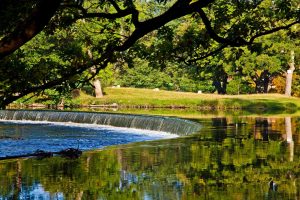 horseshoe-falls-close