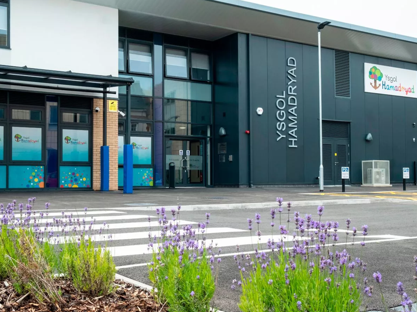 Ysgol Hamadryad