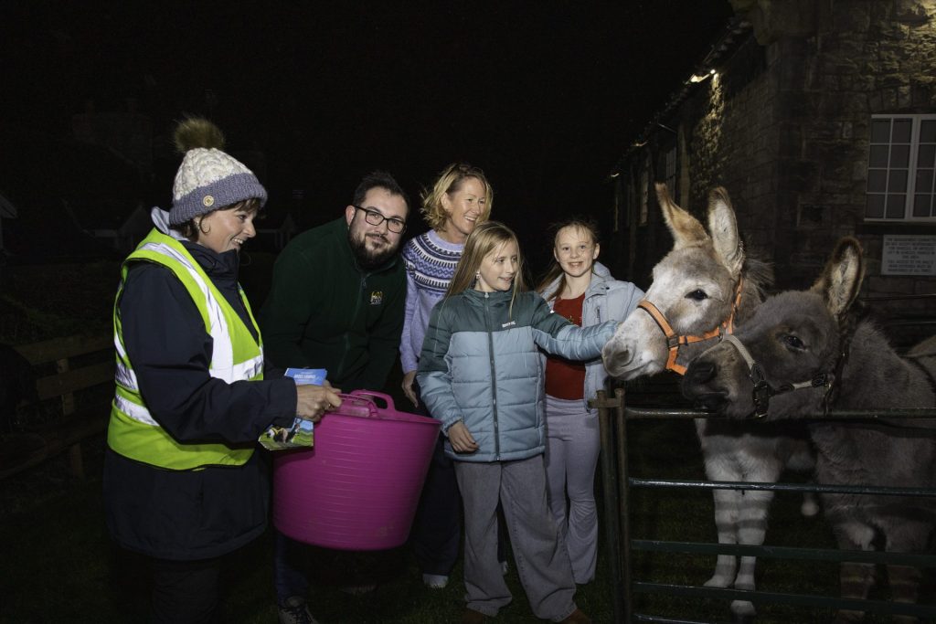 27-11-25 LockStock Donkeys-2