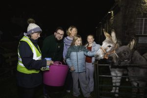27-11-25 LockStock Donkeys-2