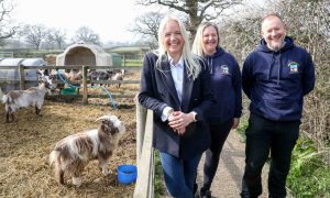 Platts Agrication-9