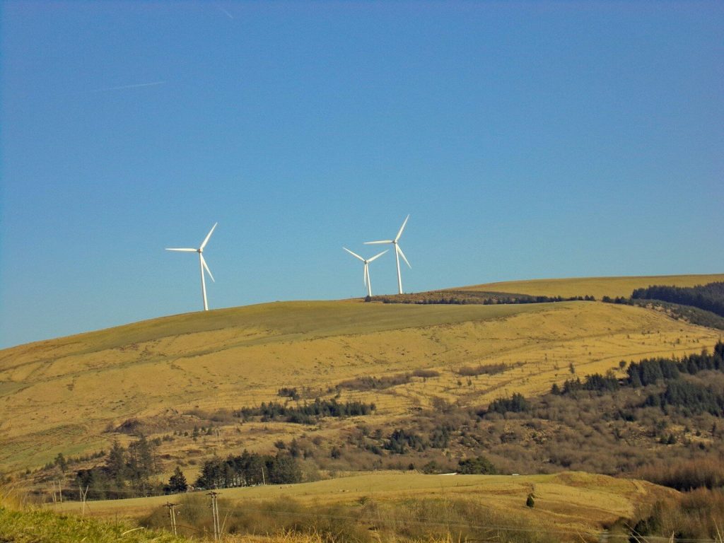 white pinwheels