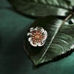 Welsh jewellery brand aims to top £130k with 10,000 poppy pins for Army charity